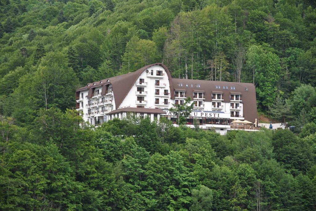 Hotel Valea Cu Pesti Căpăţîneni-Ungureni Dış mekan fotoğraf